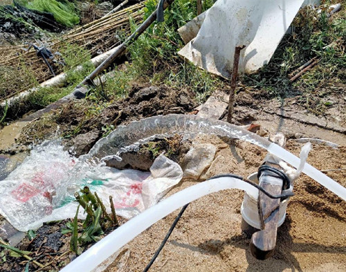 海门鱼塘边打井