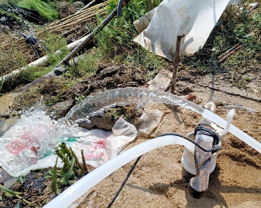 海门果园种树打井